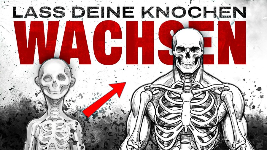 Lass Deine Knochen Wachsen thumbnail for Titan Flow